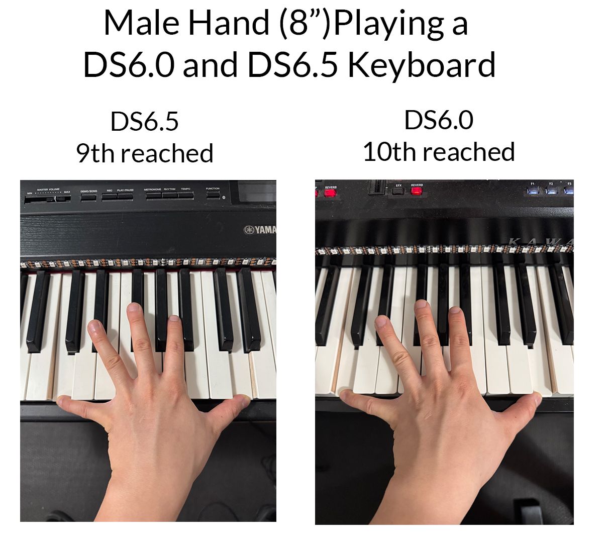 Hand span statistics